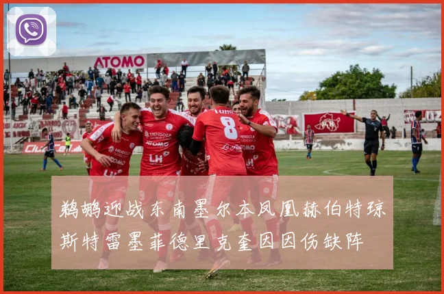 鹈鹕迎战东南墨尔本凤凰赫伯特琼斯特雷墨菲德里克奎因因伤缺阵