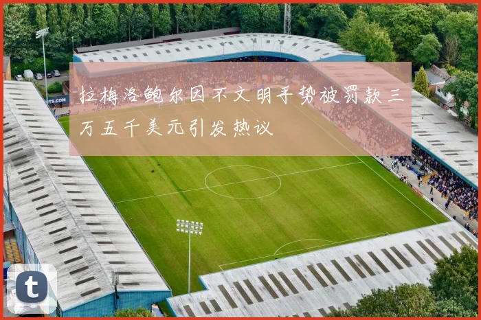 拉梅洛鲍尔因不文明手势被罚款三万五千美元引发热议
